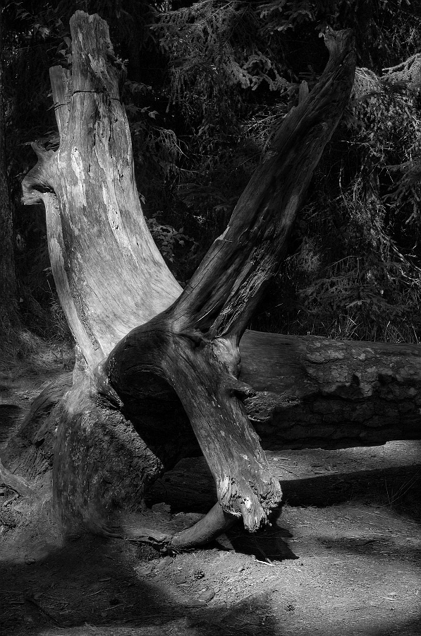 Kyjovske_udoli.jpg - Do černobílé převedeno v PC pomocí masek.